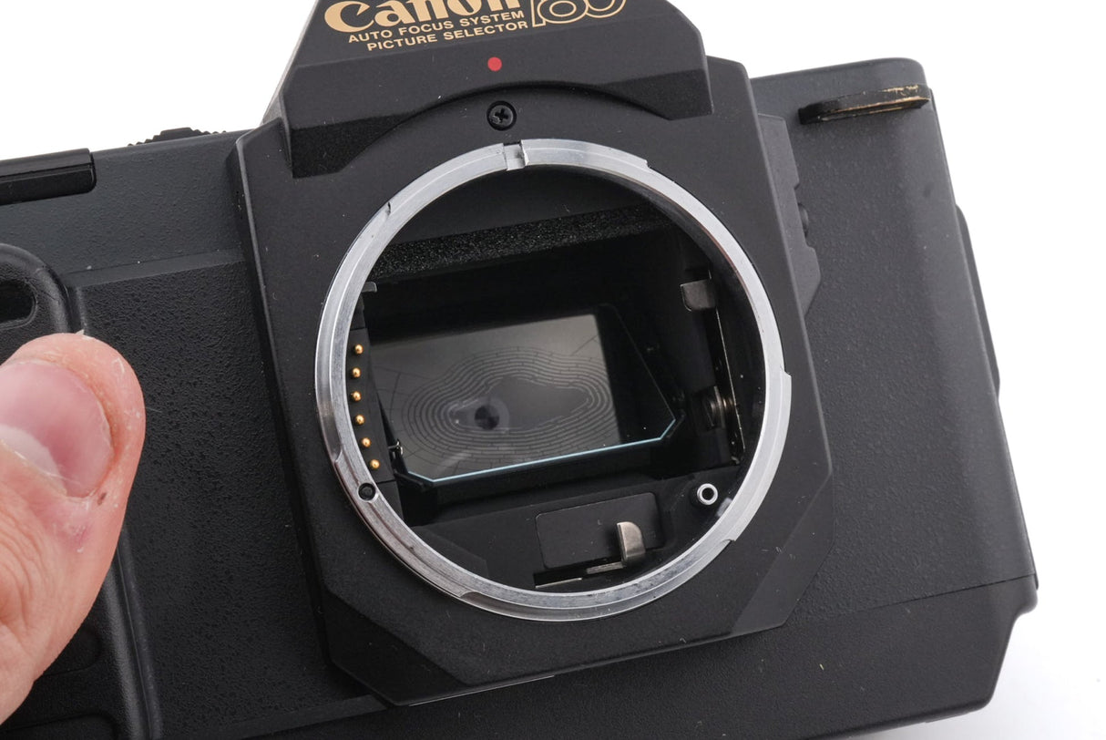 Canon T80 + 50 mm f1.8 AC + 35-70 mm f3.5-4.5 AC + 75-200 mm f4.5 AC