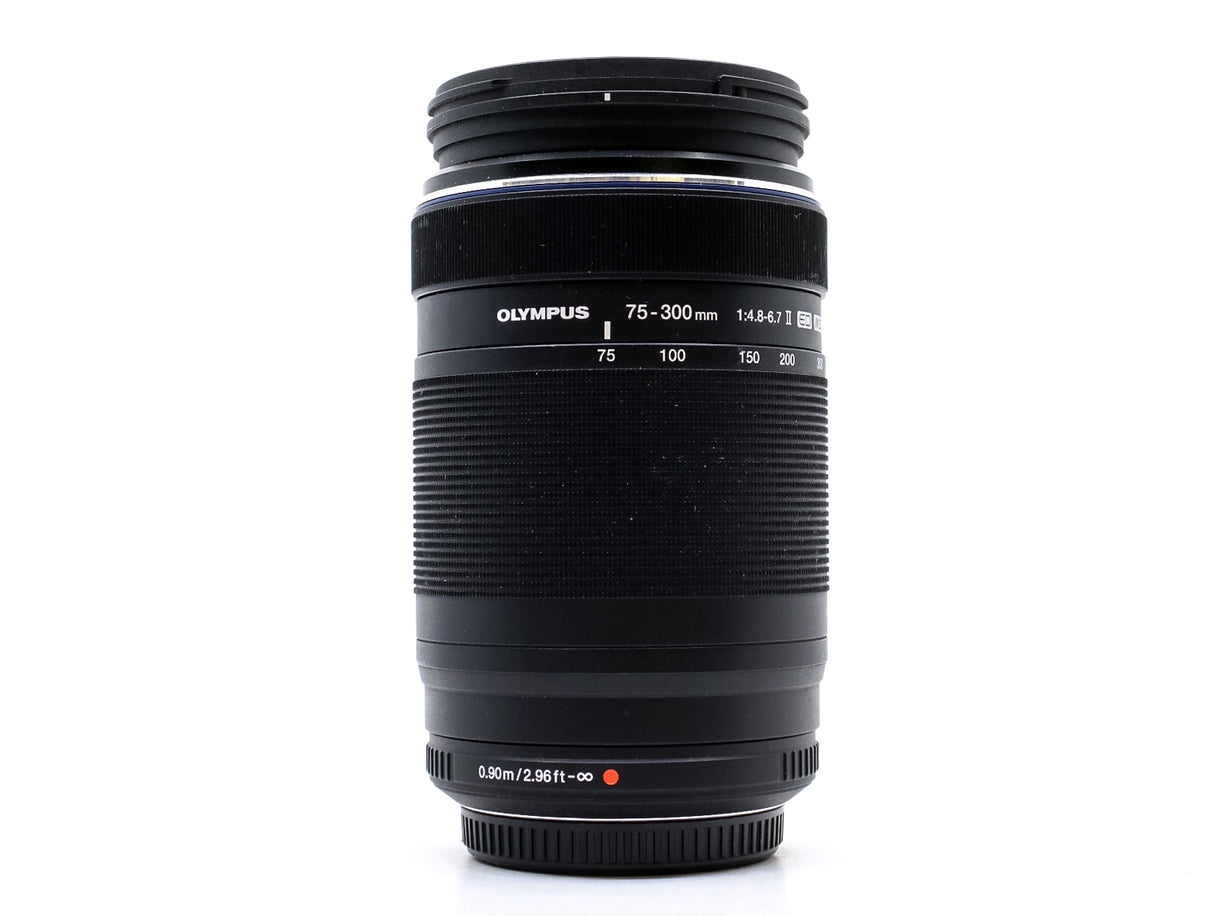 Sigma 70-300mm f/4-5.6 APO Macro - Compatibile con Canon EF