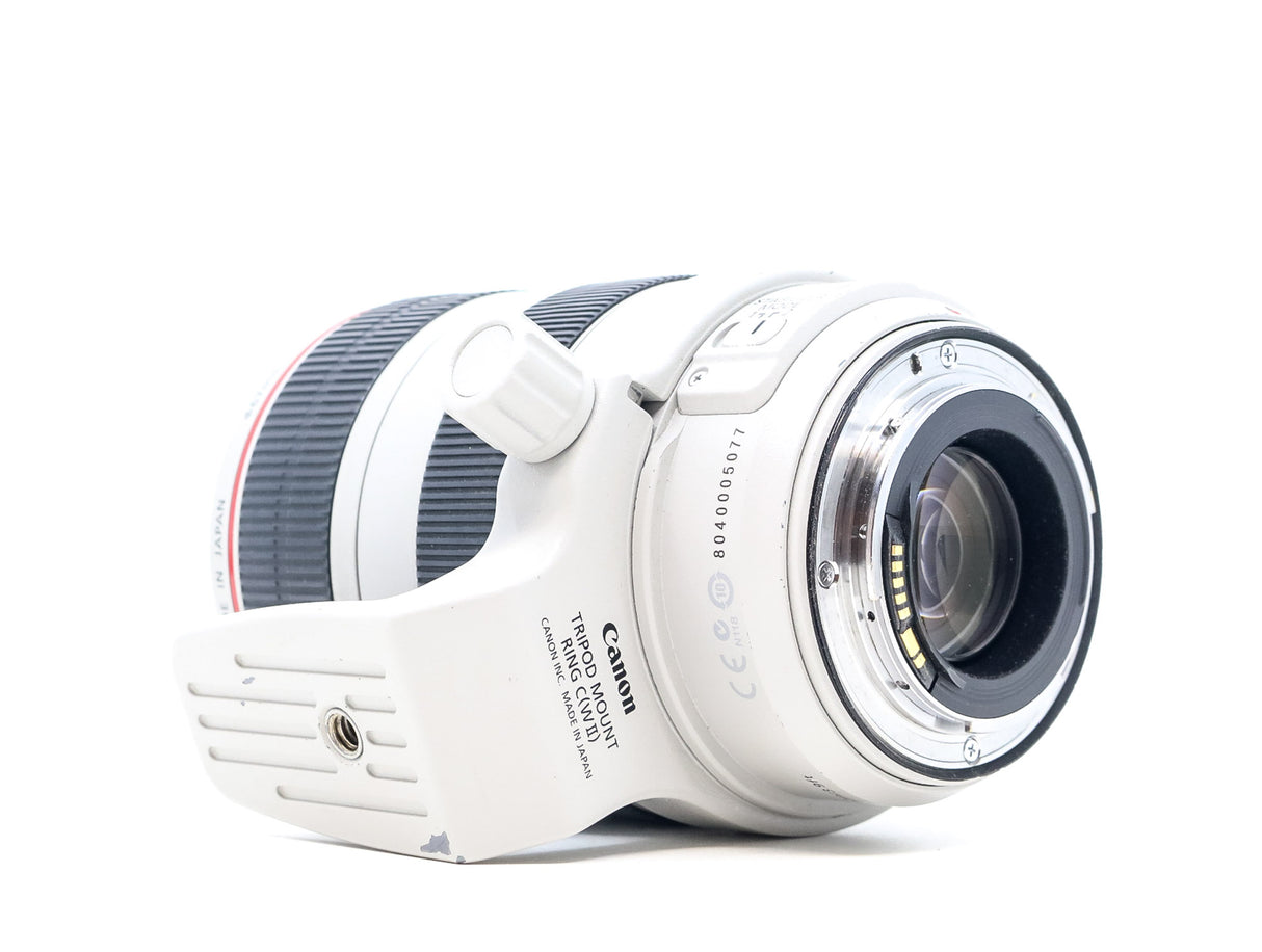 Obiettivo Canon EF 70-300mm f/4-5.6 L IS USM