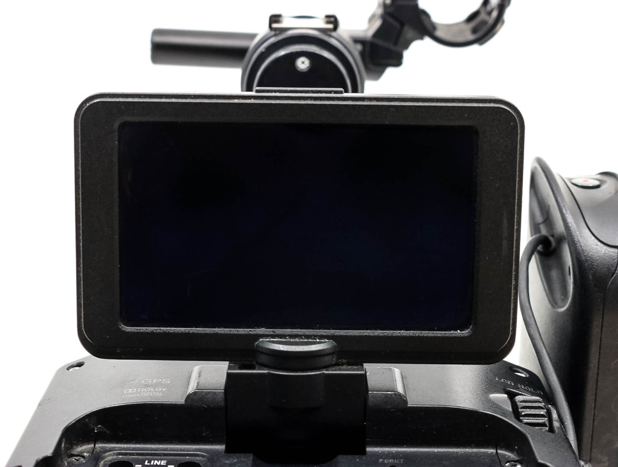 Videocamera Sony NEX-FS100E