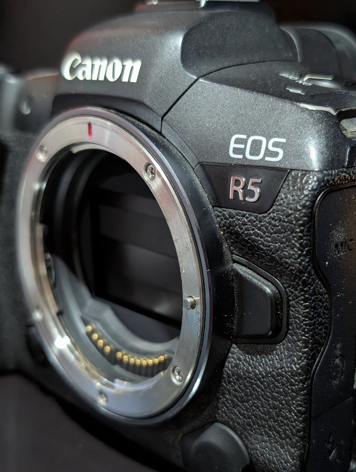 CanonR5a392cdfd-004c-4808-9ee7-d66552eb1a47