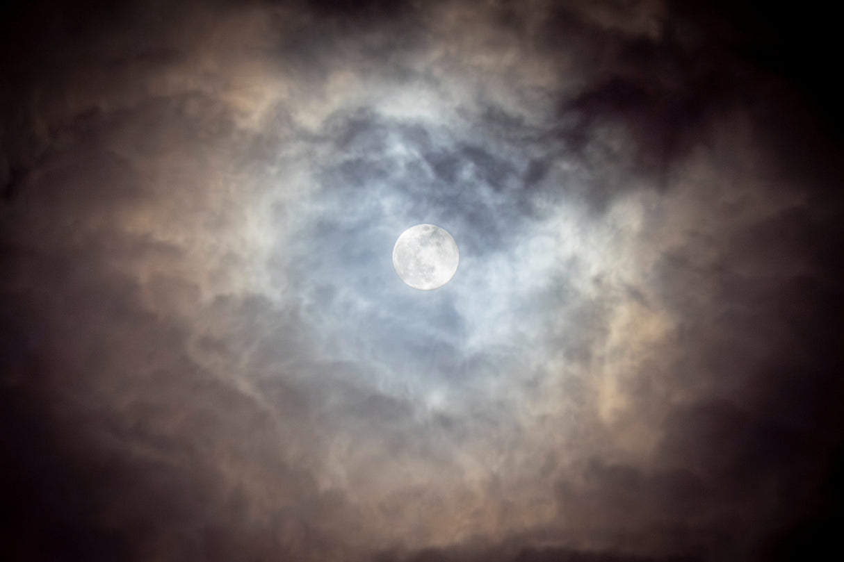 PanasonicFZ1000f6aa2b47-5050-414d-af0d-5f6174276311