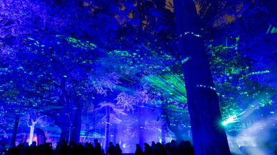 PanasonicFZ1000f6aa2b47-5050-414d-af0d-5f6174276311