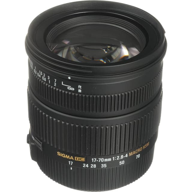Sigma Lenses Nikon AF 17-70mm f/2.8-4.5 · imagen principal